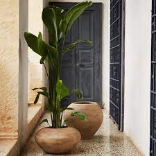Stijlvolle Design Plantenpotten voor een Groene Touch in Huis