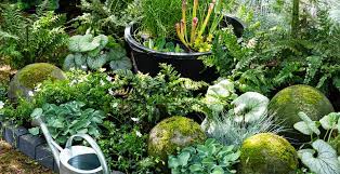 Ontdek de Pracht van Tuinplanten: Tips en Inspiratie voor uw Buitenruimte
