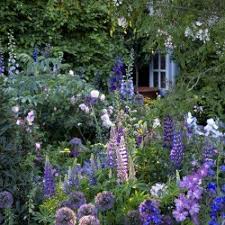 Prachtige Paarse Border Planten: Kleurrijke Toevoegingen aan Jouw Tuin