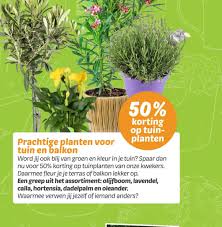 Prachtige Tuinplanten Aanbieding: Haal Groen in Huis!