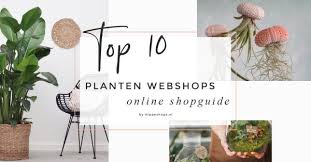 Koop Gemakkelijk Tuinplanten Online bij TuinplantenKopen.be