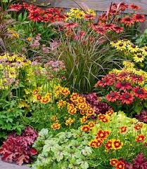 Prachtige Vaste Wintergroene Planten voor Een Groene Winter Tuin