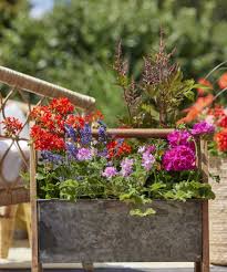 Creëer een Bloeiende Oase met Bloembak Planten