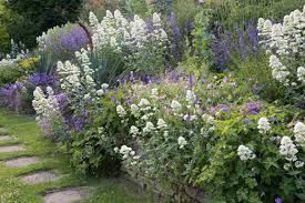 Prachtige Planten voor uw Border Tuin: Kleurrijke Grenzen in de Tuin