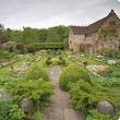 Pracht en Praal van Engelse Tuin Planten: Tijdloze Elegantie in uw Groene Oase