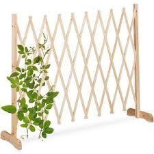 Creëer Privacy en Sfeer met Tuin Afscheiding Planten