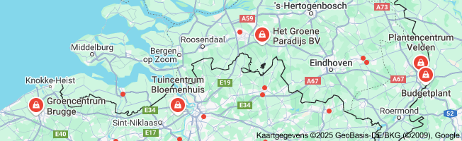 Waar Goedkoop Planten Kopen: Tips voor Groene Koopjes