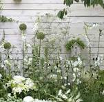 witte planten tuin