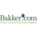 bakker hillegom planten