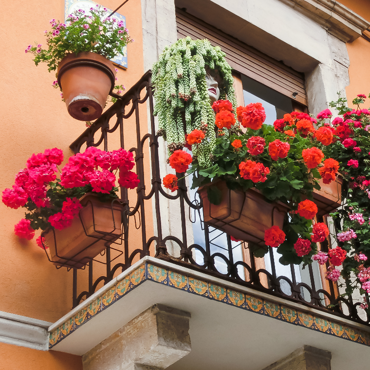 Tips voor het Kopen van Balkon Planten: Maak je Buitenruimte Groen en Levendig