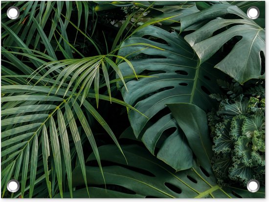 Creëer een Tropische Oase: Jungle Tuin Planten in België