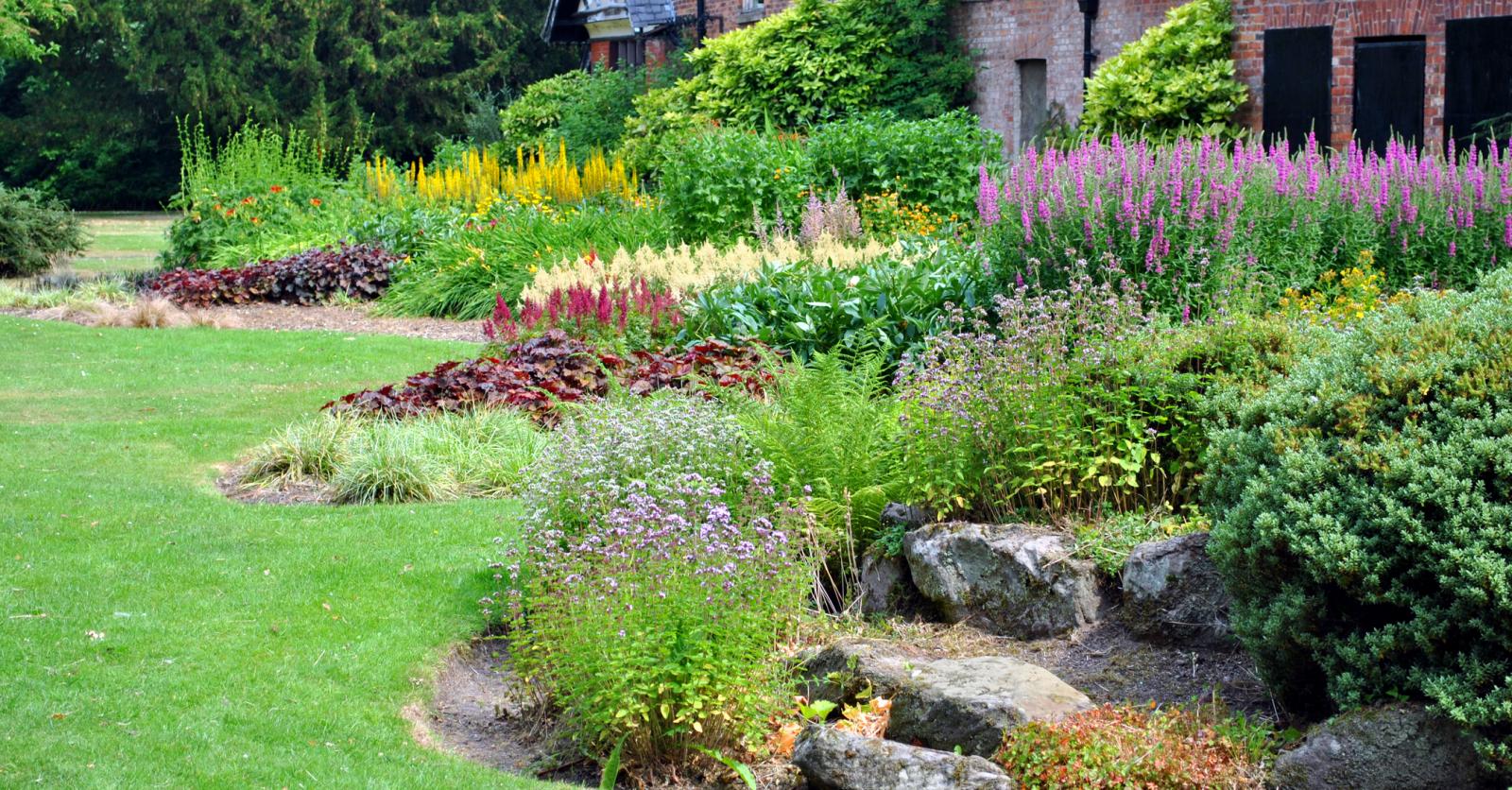 kleurrijke planten tuin