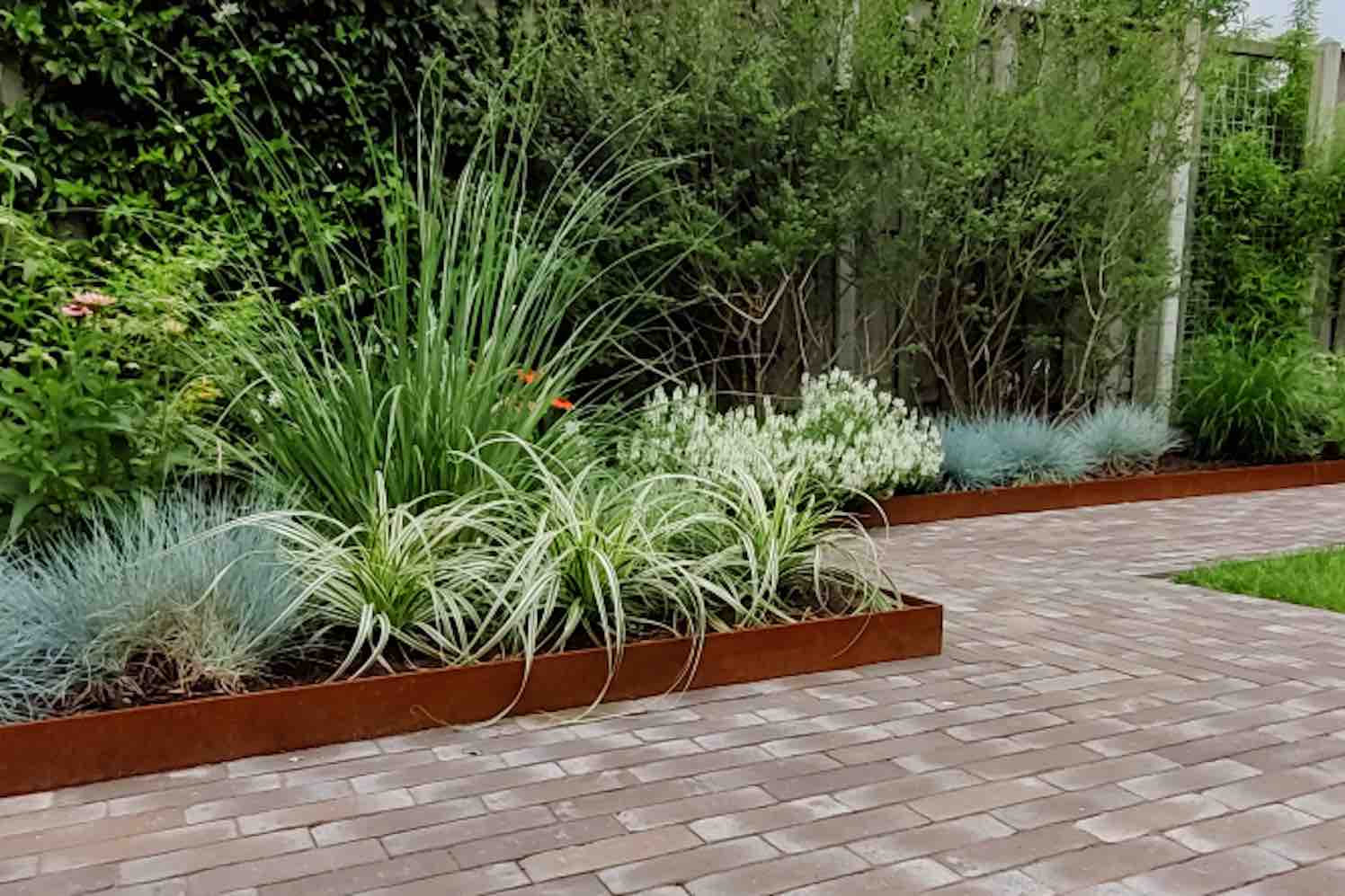 Ontdek de Groene Pracht van Lansdaal Tuinplanten