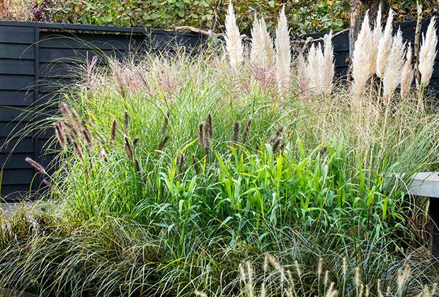 Hoe een Prachtige Border Aanleggen met Vaste Planten in Jouw Tuin