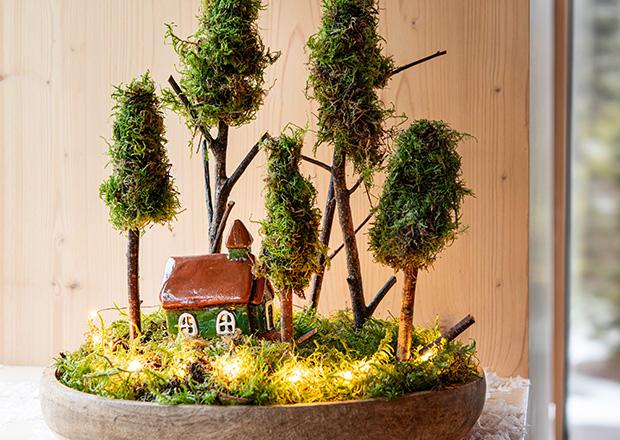 Koop Prachtige Planten Eenvoudig Online bij Intratuin