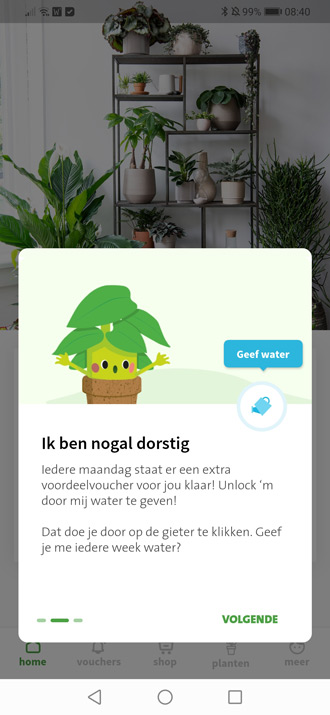 Bestel Prachtige Planten Online bij Intratuin