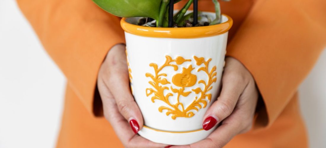 Tips voor het Kopen van een Plant in Pot: Maak de Juiste Keuze voor Groen Genot!