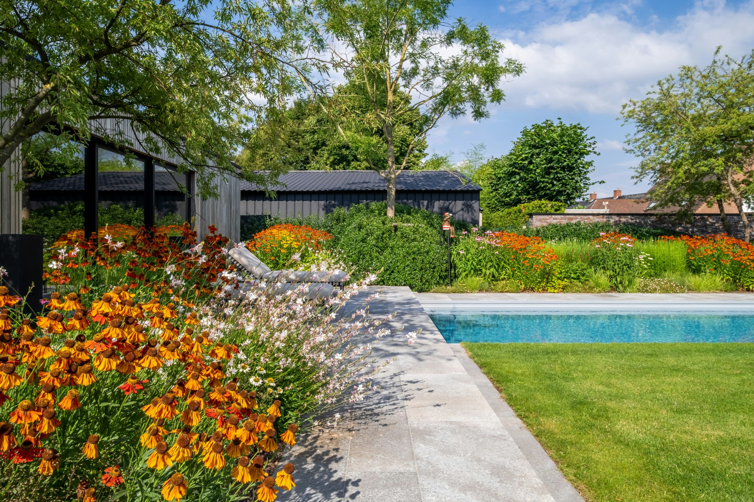 Praktische Gids voor het Aanleggen van een Border met Vaste Planten in Jouw Tuin