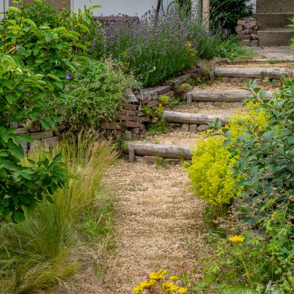 Duurzaam Genieten: Inheemse Planten in Jouw Tuin