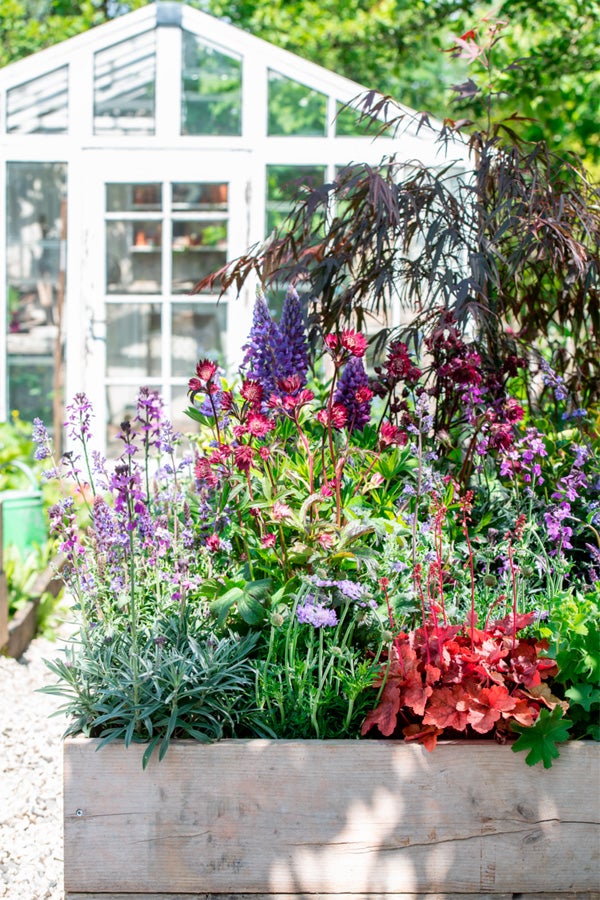 Prachtige Tuinplanten voor in Pot in de Schaduwrijke Hoekjes