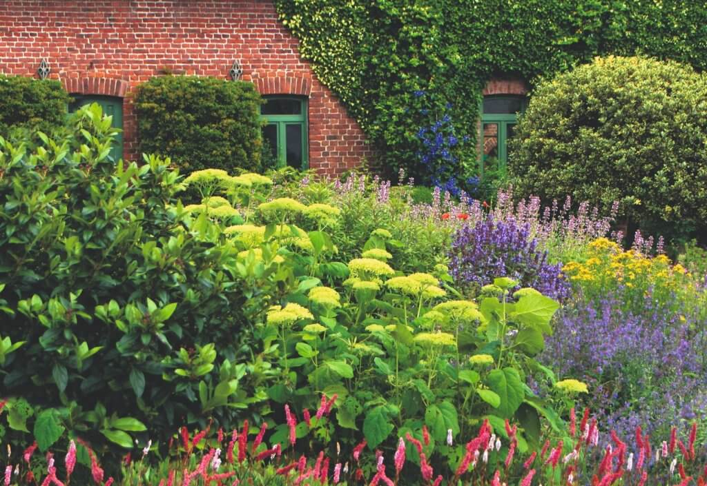 mooiste planten tuin