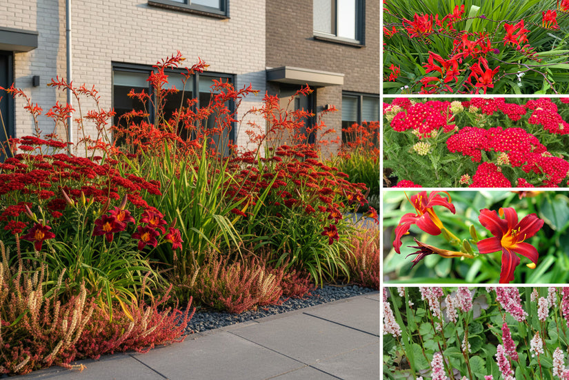 winterharde planten in pot buiten