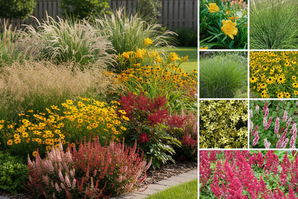 Prachtige Zuurminnende Vaste Planten voor een Kleurrijke Tuin