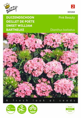 Ontdek de Pracht van Tweejarige Plantensoorten in uw Tuin