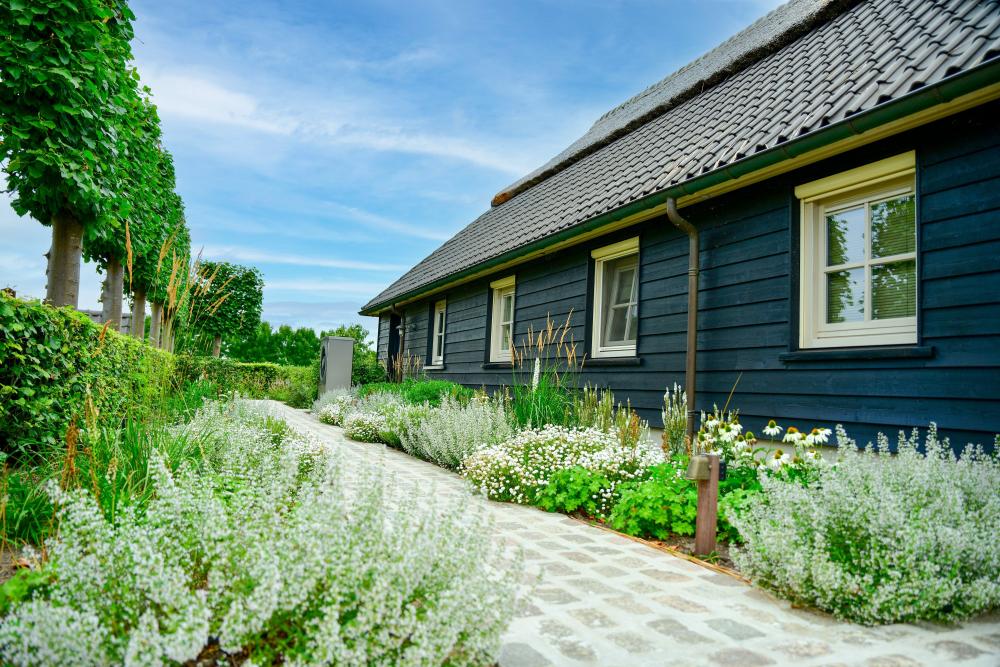 witte tuinplant