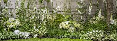 witte winterharde planten