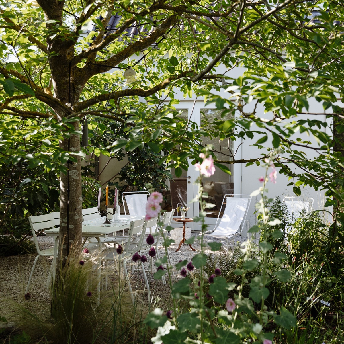 zomer en winter planten