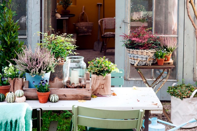 herfst tuinplanten