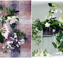 Prachtige Planten met Witte Kelkbloemen: Een Tijdloze Schoonheid