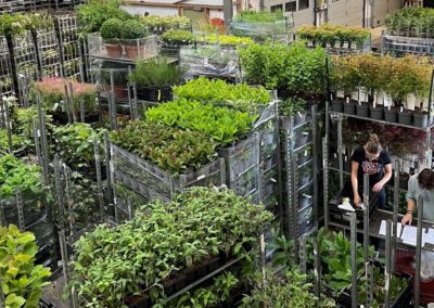 Ontdek de Groene Schatkamer van de Tuinplanten Loods