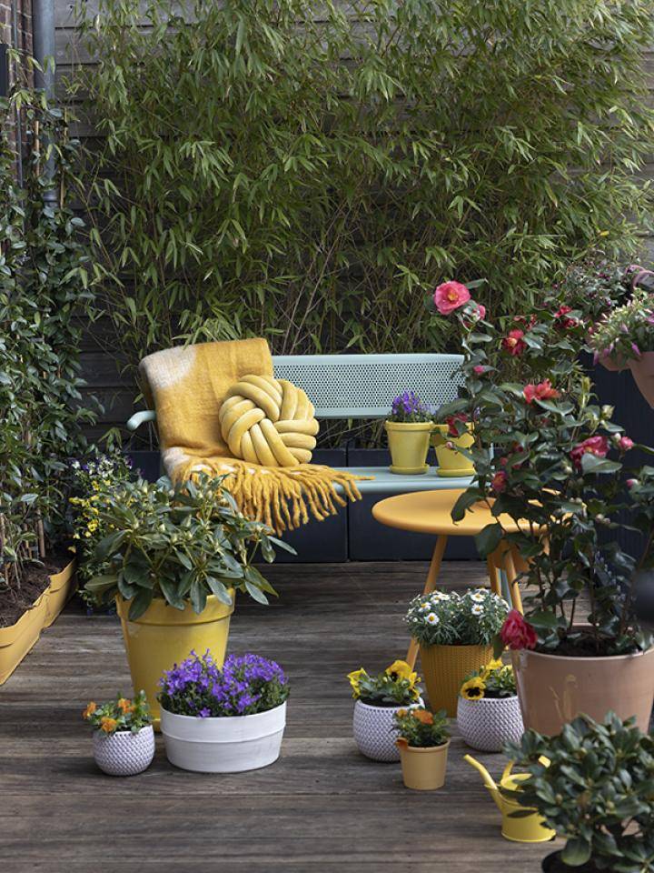 online balkon planten bestellen
