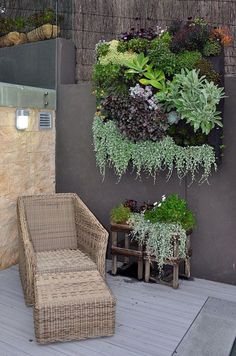 planten balkon noorden
