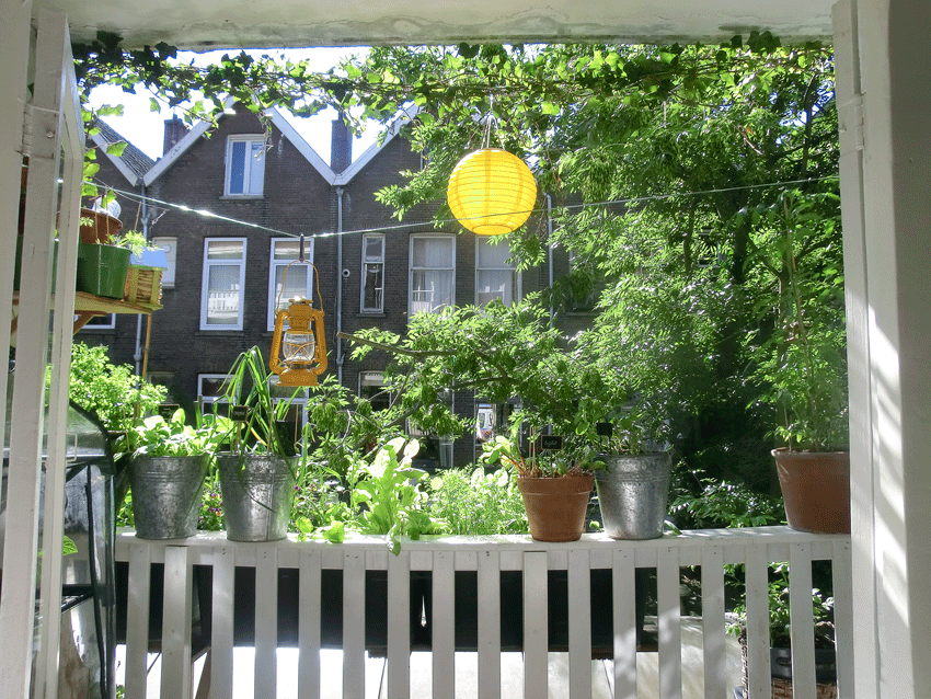 Groene Pracht: Planten voor een Balkon op het Oosten