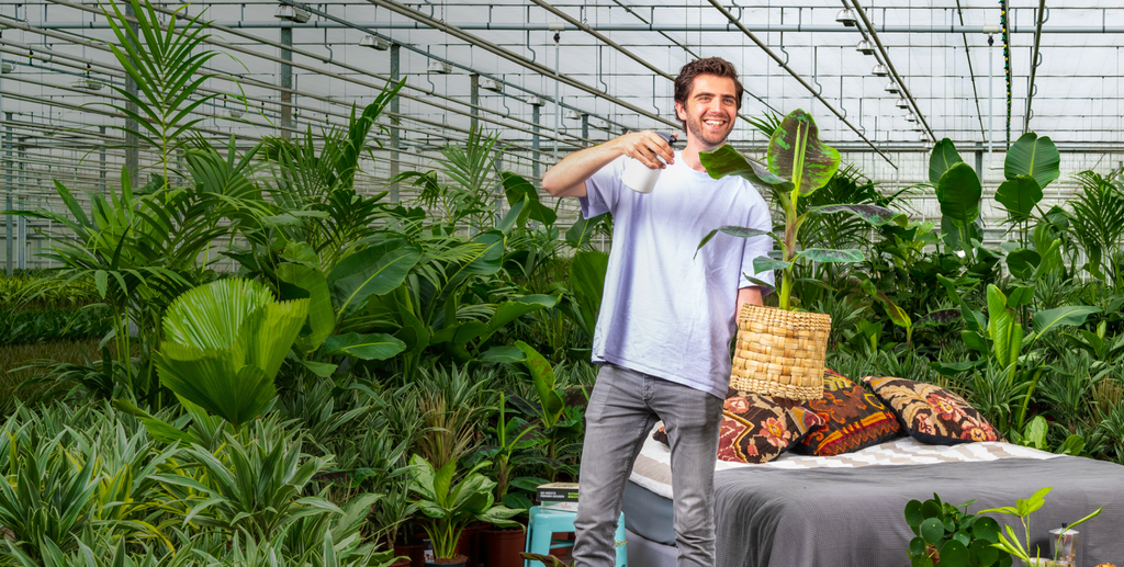planten buiten bestellen